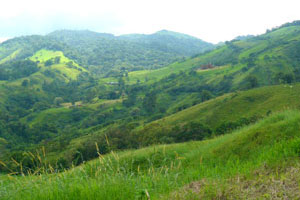 Forested hills surround the development.